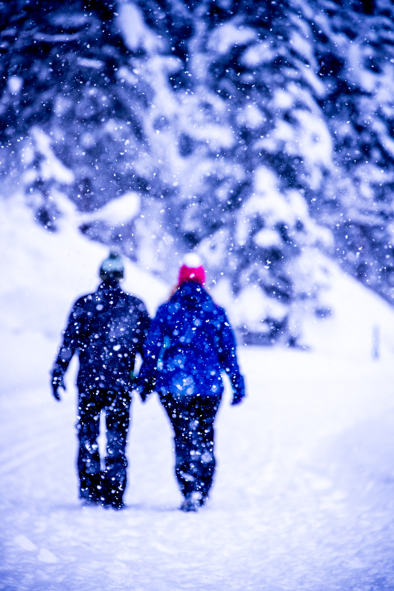 Export x3 1DX29366 Verlobungsfotoshooting 2018 Anna & Dominik 3